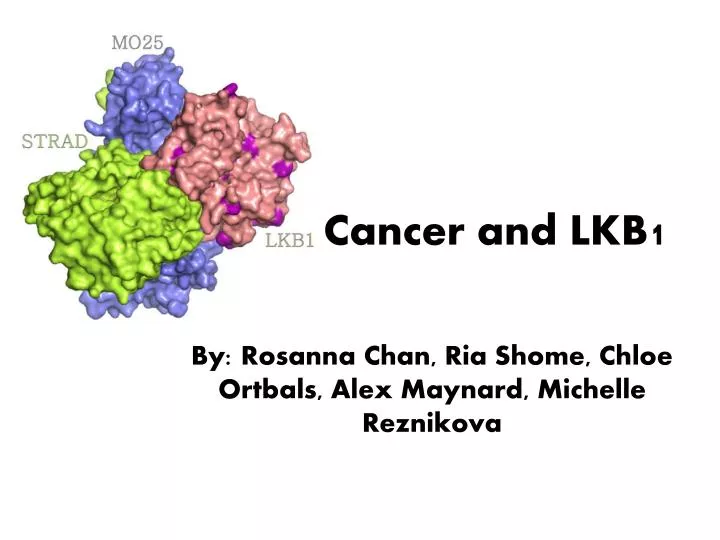 cancer and lkb1