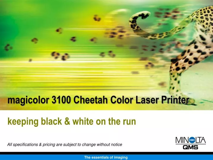 magicolor 3100 cheetah color laser printer