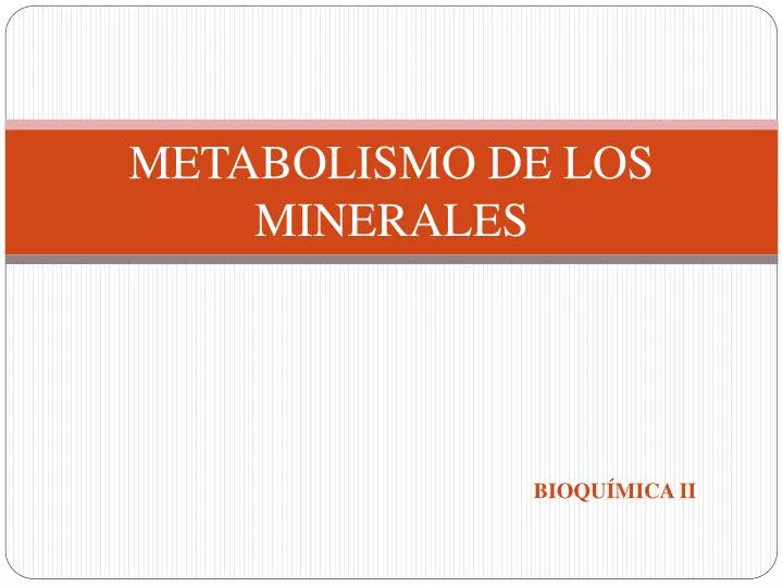 metabolismo de los minerales