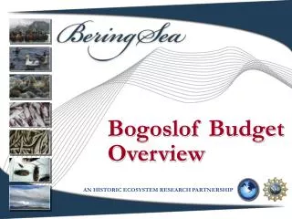 Bogoslof Budget Overview