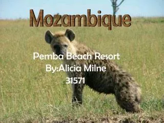 Pemba Beach Resort By:Alicia Milne 31571