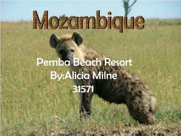 pemba beach resort by alicia milne 31571