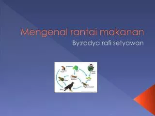 mengenal rantai makanan