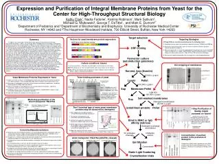 Expression and Purification of Integral Membrane Proteins from Yeast for the