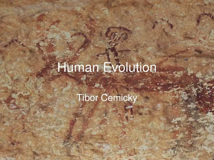 human evolution