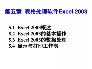 excel 2003