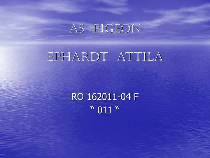 as pigeon ephardt attila