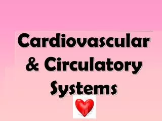 Cardiovascular &amp; Circulatory Systems