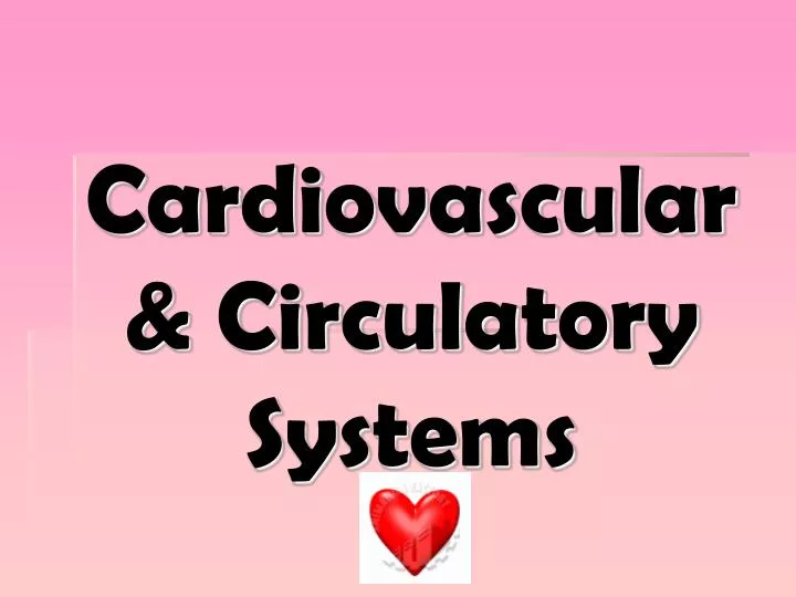 cardiovascular circulatory systems