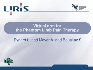 Virtual arm for the Phantom Limb Pain Therapy