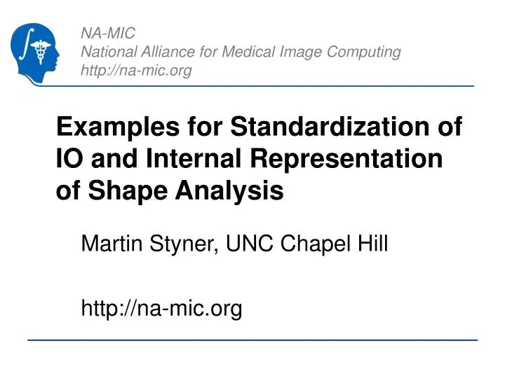 examples for standardization of io and internal representation of shape analysis