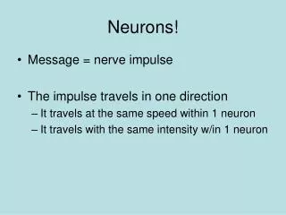 Neurons!