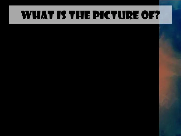 what is the picture of