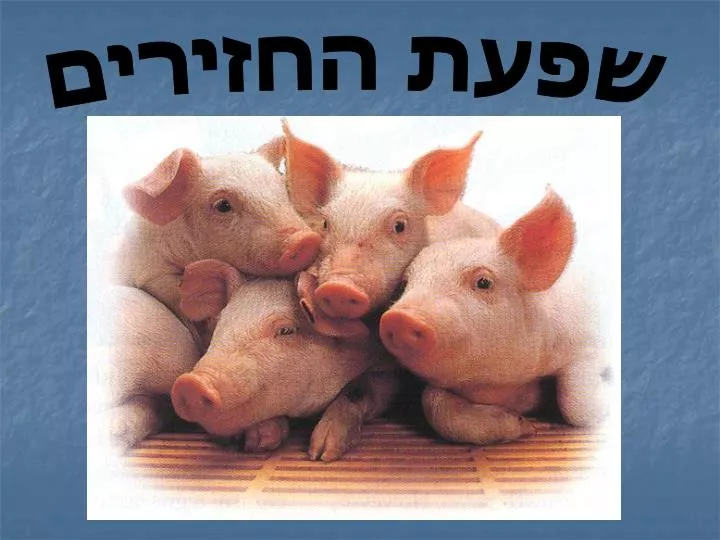 slide1