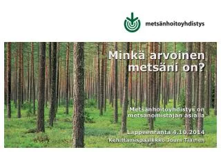 Minkä arvoinen metsäni on?