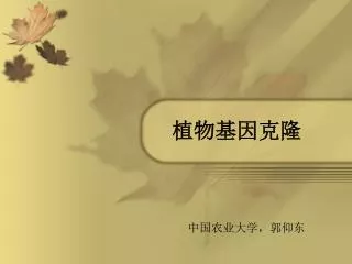 slide1