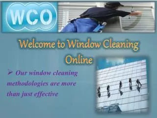 Why Window Cleaning Online?