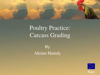 Poultry Practice: Carcass Grading