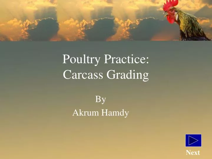 poultry practice carcass grading