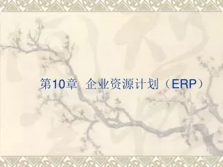 10 erp