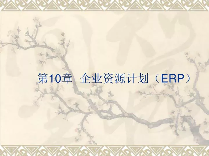 10 erp