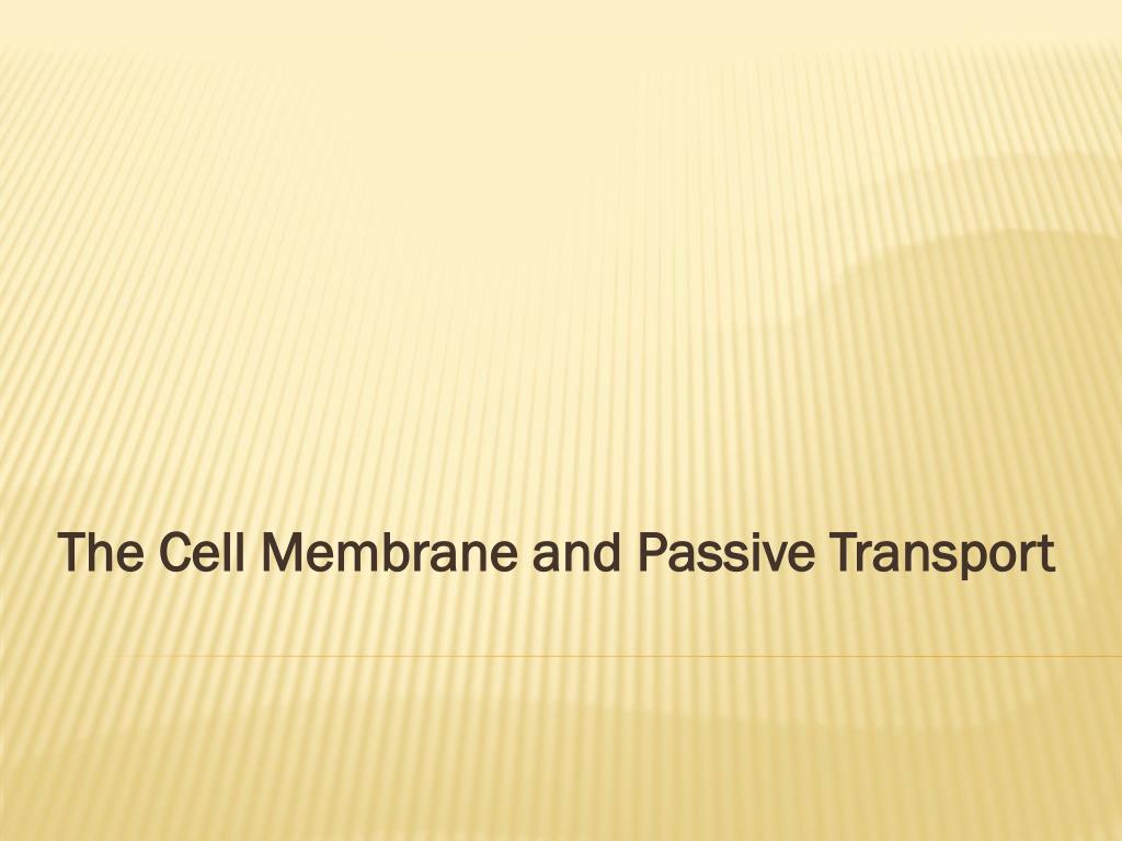 PPT - The Cell Membrane and Passive Transport PowerPoint Presentation ...