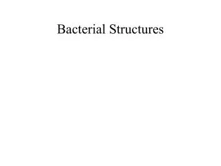 Bacterial Structures