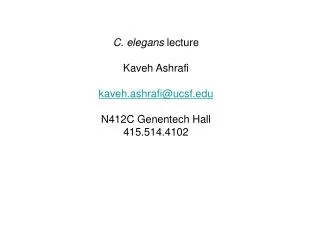 C. elegans lecture Kaveh Ashrafi kaveh.ashrafi@ucsf N412C Genentech Hall 415.514.4102