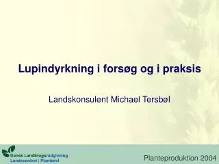 lupindyrkning i fors g og i praksis