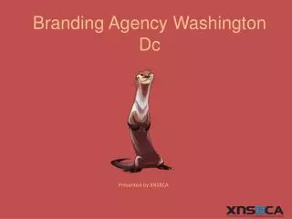 branding agency wasington dc
