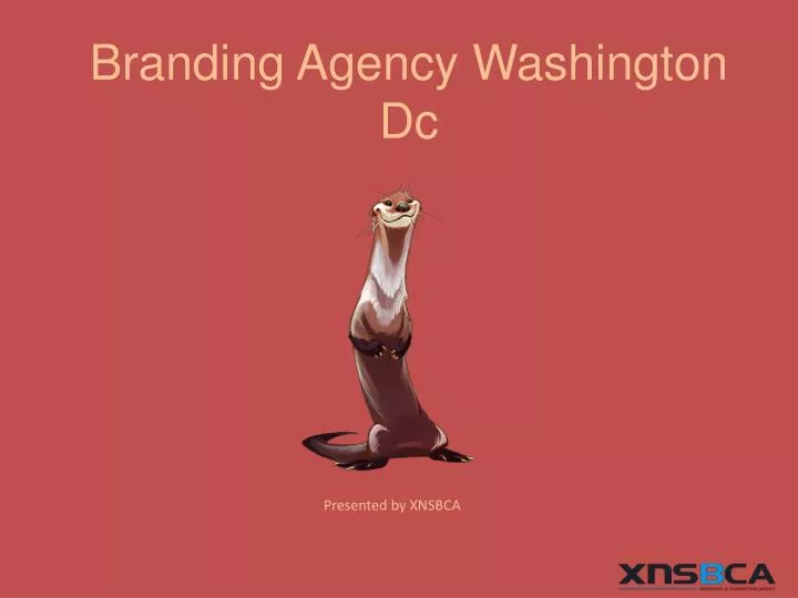branding agency washington dc