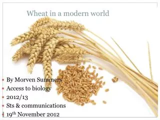 Wheat in a modern world
