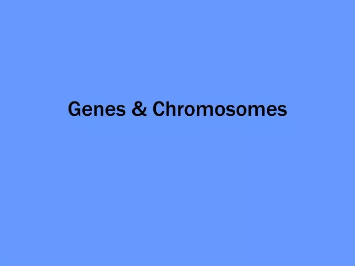 genes chromosomes