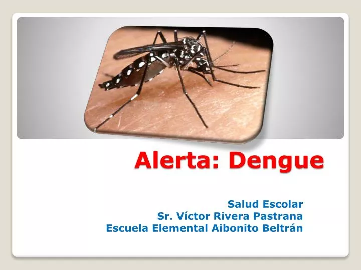 alerta dengue