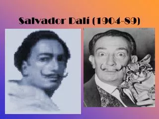 salvador dal 1904 89