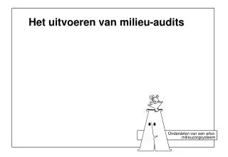 het uitvoeren van milieu audits
