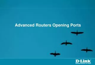 Advanced Routers Opening Ports