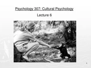 Psychology 307: Cultural Psychology Lecture 6