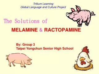 MELAMINE &amp; RACTOPAMINE