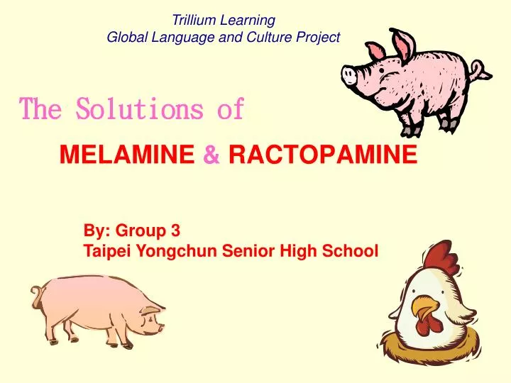 melamine ractopamine