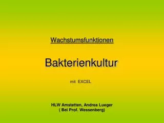 wachstumsfunktionen