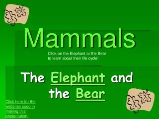 Mammals