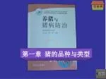 第一章 猪的品种与类型 - slide 1