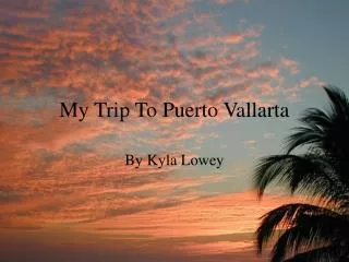 My Trip To Puerto Vallarta