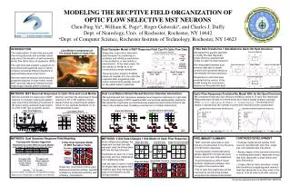 MODELING THE RECPTIVE FIELD ORGANIZATION OF OPTIC FLOW SELECTIVE MST NEURONS