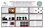 MODELING THE RECPTIVE FIELD ORGANIZATION OF OPTIC FLOW SELECTIVE MST NEURONS - slide 1