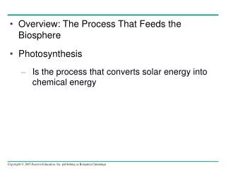 Overview: The Process That Feeds the Biosphere Photosynthesis