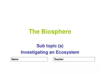 The Biosphere