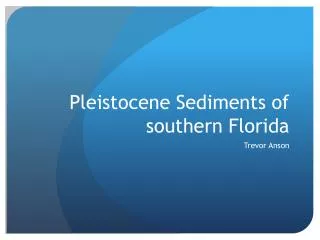 Pleistocene Sediments of southern Florida