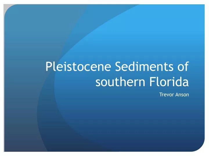 pleistocene sediments of southern florida